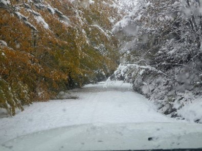 Azdavay'da Kar Yağışı Hayatı Olumsuz Etkiliyor