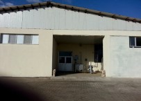 KEÇİ SÜTÜ - Muş Kaşarı Dünyaya Tanıtılacak