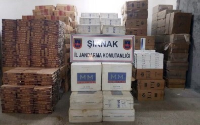 Şırnak'ta 130 Bin Paket Kaçak Sigara Ele Geçirildi