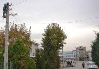METİN ORAL - Altınova'da Elektrik Hatları Yer Altına Alındı