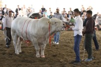 Anadolu EXPO Üreticinin Sesi Oldu