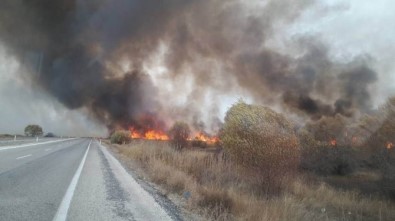 Beyşehir Gölü Milli Parkı'nda Sazlık Yangını