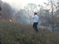 BALıKLıÇEŞME - Biga'da 5 Hektar Tarım Arazisi Yandı