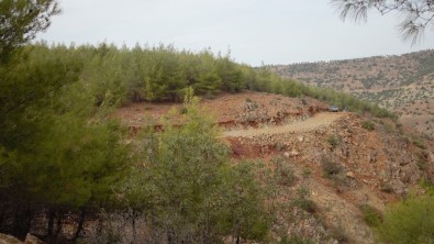 Yeni Orman Yolu Yapım Çalışmaları Devam Ediyor