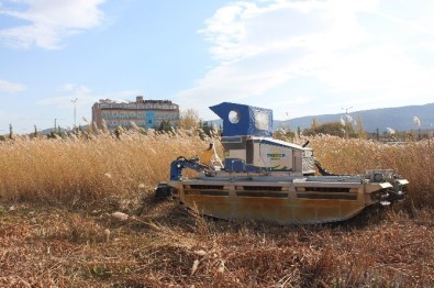 Beyşehir Gölü Kıyılarında Sucul Bitkilerinin Kesimi Yeniden Başladı