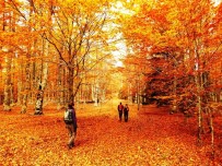 KAZ DAĞLARI - Kaz Dağları Rengârenk