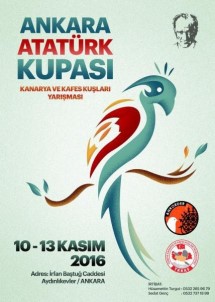 5 Bin Kanarya Yarışacak