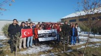 HAYVAN SEVERLER - Atatürk Üniversitesi Hayvan Severler Kulübü'nden Hayvan Barınağına Ziyaret