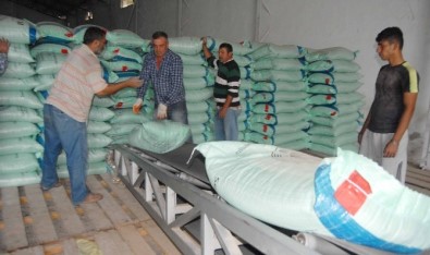 Dalaman TİGEM'den Kıbrıs'a Tohumluk Buğday