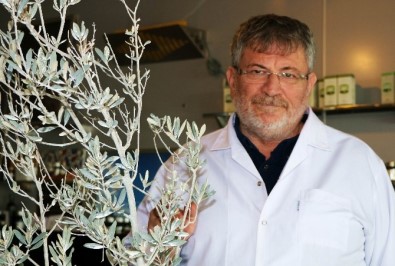 Tarım İlacında Dışa Bağımlılığa Son