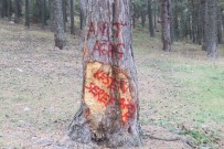 ORMAN MUHAFAZA MEMURU - Ağaca Zarar Verenlere İlginç Tepkiler