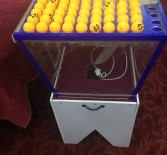 İzmir'de Kumar Operasyonu