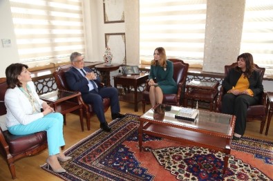 Azerbaycan Milletvekili Ganira Paşayeva, Vali Aykut Pekmez'i Ziyaret Etti