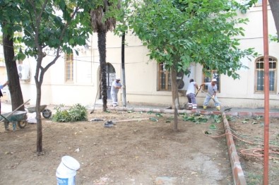 Maarif-İ Sultan Camii'nin Bahçesi Yenilendi