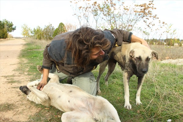 Çöplükteki sokak hayvanlarının bakıcısı oldu
