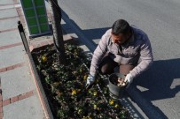 LALE SOĞANI - Edirne Laleler İle Renklenecek