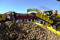 EROZYONLA MÜCADELE - Mauslar Sayesinde Yılda 150 Dekar Arazi Tarıma Yeniden Kazandırılıyor