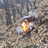 PKK'ya ait sığınak ele geçirildi