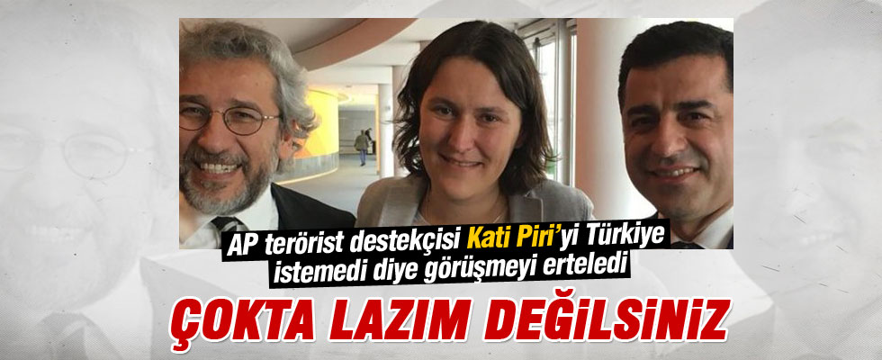 AP’nin Türkiye raportörüne Ankara’dan veto: Ziyaret ertelendi
