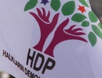 HDP yol haritasını belirledi