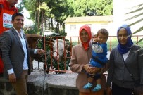 Dörtyol'da Genç Çiftçilere Damızlık Düve Desteği