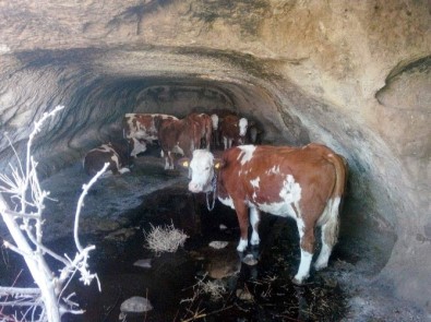 Kayseri'de Polisin 'Kızılderili Takibi'