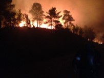 Oymapınar'da Orman Yangını