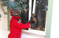 PELITKÖY - Pencereye Sıkışan Kediyi İtfaiye Kurtardı