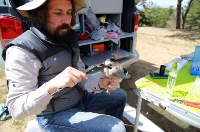 Türkiye'deki 5 Farklı Kuş Türünde 54 Yeni Genetik Yapı Tespit Edildi