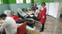 TURAN ATLAMAZ - Gazi Paşa'dan Rekor Kan Bağışı