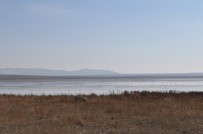 KUŞ CENNETİ - Kaymakam Öztürk, Kuyucuk Gölü´Nde İncelemelerde Bulundu