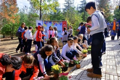 Minik Eller Okul Bahçelerini Çiçeklendirdi