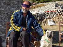 Köpeği Zehirlenen Görme Engelli Vatandaşa Büyükşehir'den Yeni Can Dostu