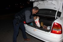 Adana'da 'Şehri Uyuşturucudan Ve Terörden Temizleme Operasyonu'