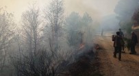 Yenice'de Orman Yangını Haberi