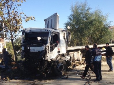 Yoldan Çıkan TIR Ağaçları Devirerek Durabildi