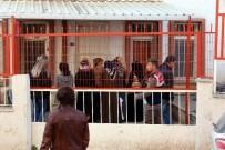 YURT DIŞI YASAĞI - FETÖ'nün 'Kadın Yapılanmasına' Operasyonda 3 Kişi Tutuklandı