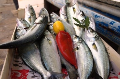 Lapseki'de Balık Fiyatları Ucuzladı