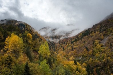 Örümcek Ormanları'ndan Son 'Bahar' Manzaraları