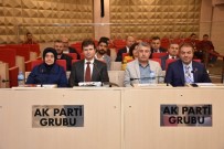 Şehzadeler'in 2017 Bütçesi 95 Milyon Lira