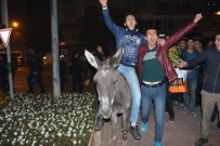 Fenerbahçeli Taraftarlar Galibiyeti Eşek Sırtında Kutladı