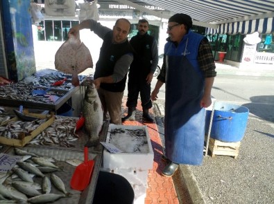 Mudanya'da Balık Bereketi