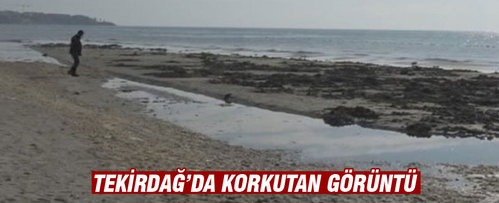 Tekirdağ’da deniz 15 metre çekildi