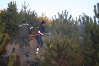 HAYVAN BARINAĞI - Yozgat'ta Çıkan Orman Yangını Büyümeden Söndürüldü