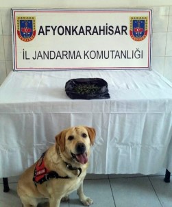 Afyonkarahisar'da Jandarmadan Esrar Operasyonu