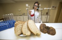 ÖLÜMSÜZLÜK - Mucize mantar artık ekmeğe giriyor