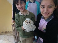 Yavru Baykuşa Öğrenciler Sahip Çıktı