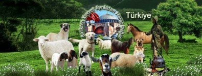Çobanlardan Bursa'daki Etkinlik İçin Cumhurbaşkanına Davet