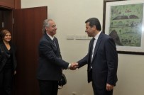 DİŞ HEKİMLERİ - Diş Hekimleri Odası Üyeleri Vali Çelik'i Ziyaret Etti