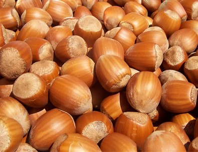 Fındık fiyatı arttı